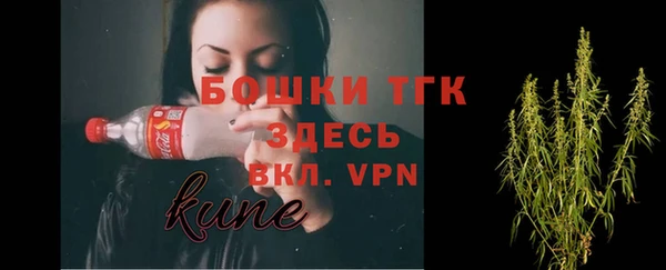 СК Медвежьегорск