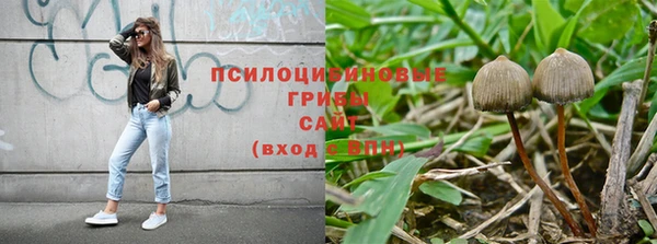 спиды Михайловка
